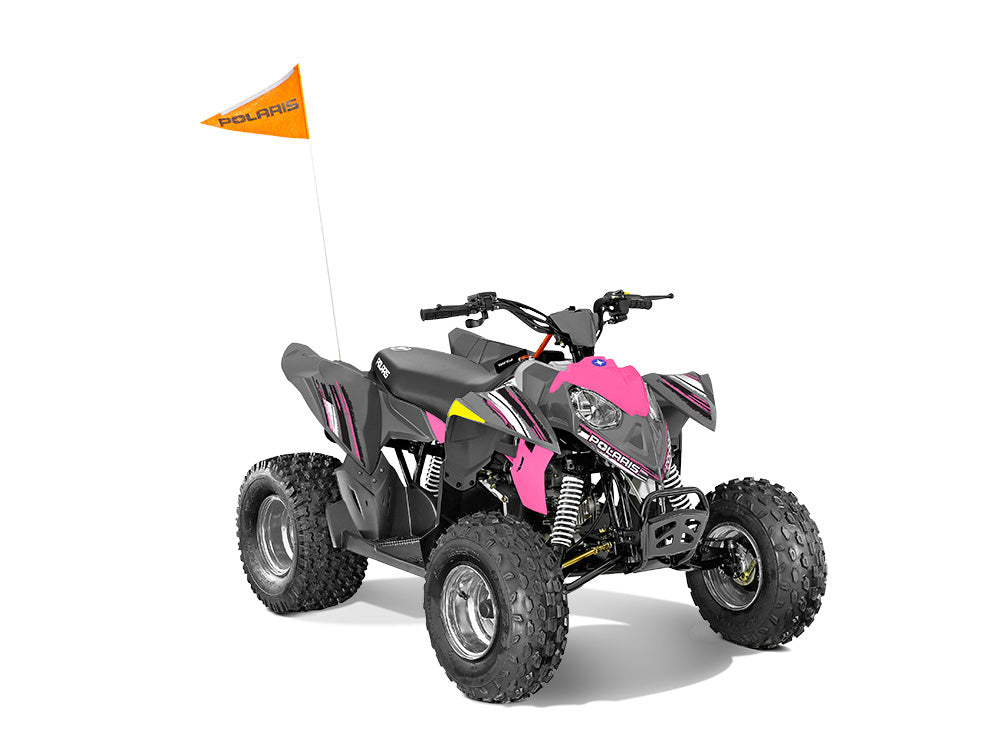 2002 - 2023 Polaris outline 90 110